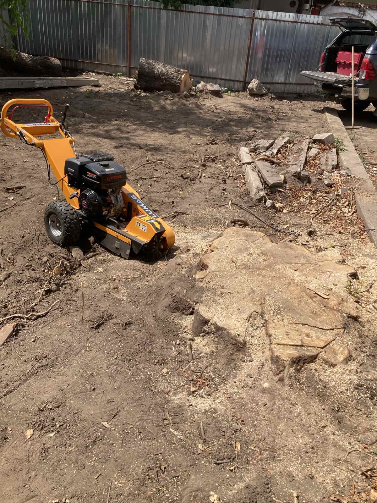 Tuskómarás előtt - fakivágást követő tuskóeltávolítás kezdete