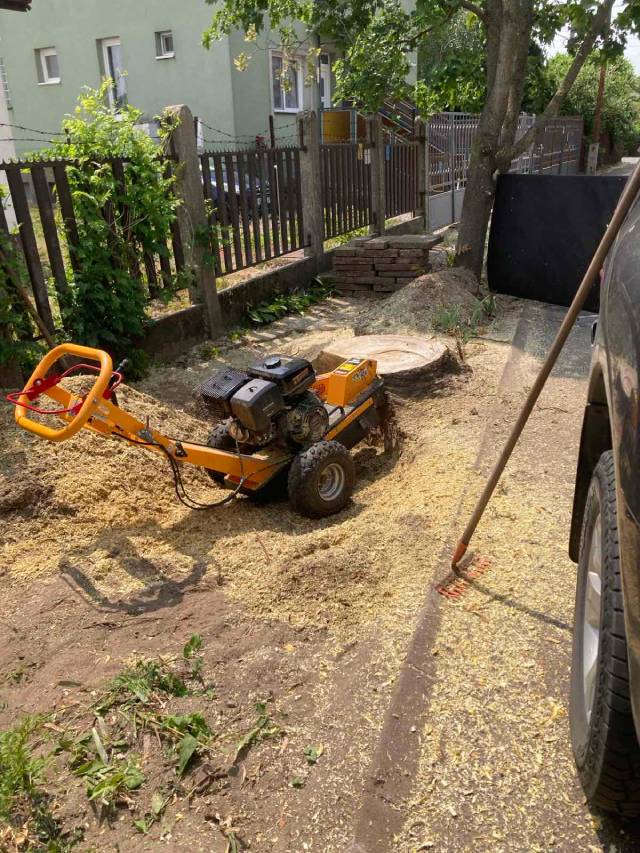 Tuskómaró gép működés közben, narancssárga tuskómaró berendezés egy lemarásra kerülő fatuskón, mellette friss fűrészpor és forgács.
